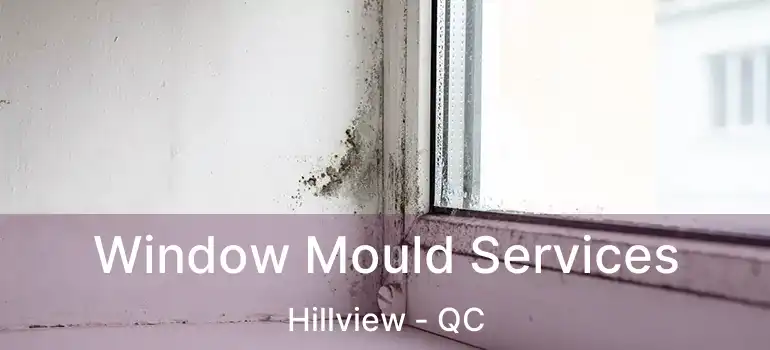  Window Mould Services Hillview - QC