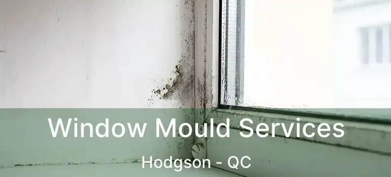  Window Mould Services Hodgson - QC