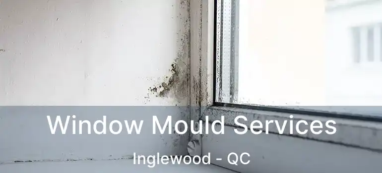  Window Mould Services Inglewood - QC