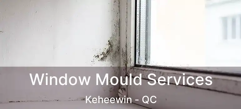  Window Mould Services Keheewin - QC