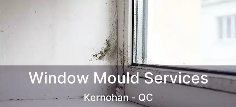 Window Mould Services Kernohan - QC