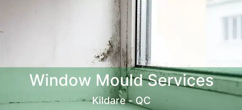  Window Mould Services Kildare - QC