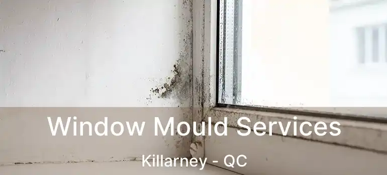  Window Mould Services Killarney - QC