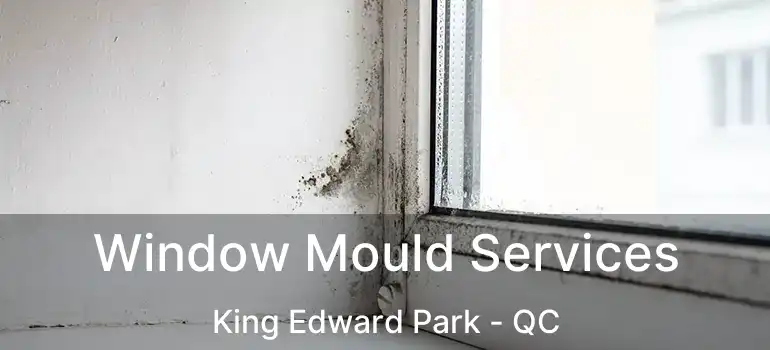  Window Mould Services King Edward Park - QC