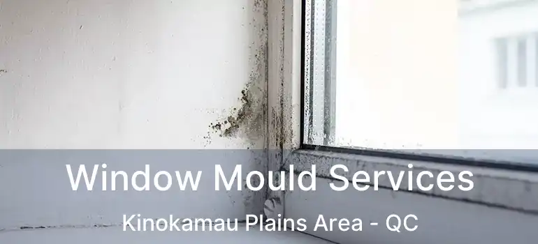  Window Mould Services Kinokamau Plains Area - QC