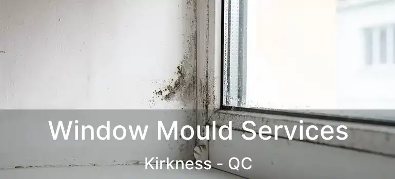  Window Mould Services Kirkness - QC