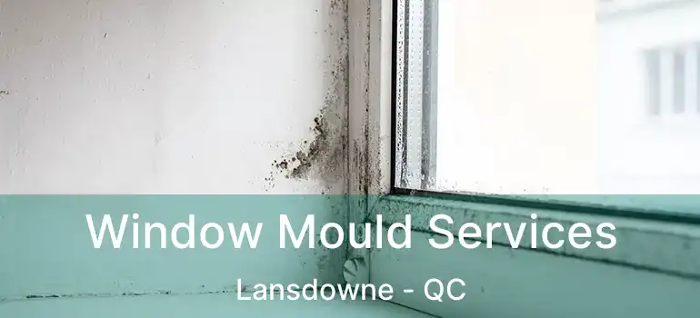  Window Mould Services Lansdowne - QC