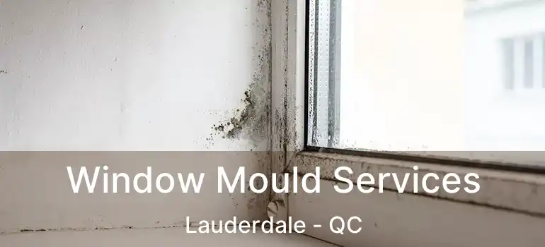  Window Mould Services Lauderdale - QC