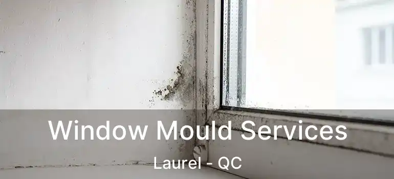  Window Mould Services Laurel - QC