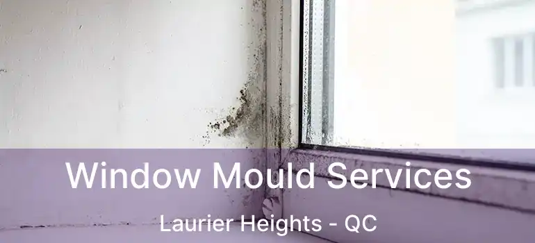  Window Mould Services Laurier Heights - QC