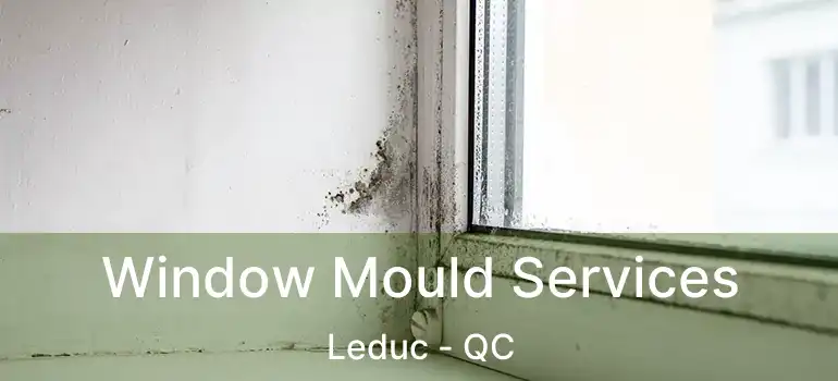  Window Mould Services Leduc - QC