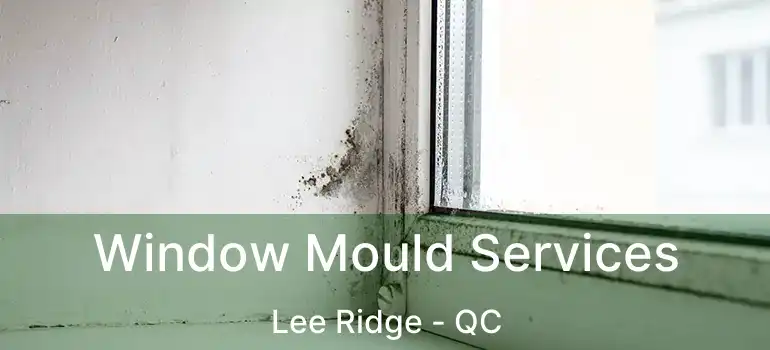  Window Mould Services Lee Ridge - QC