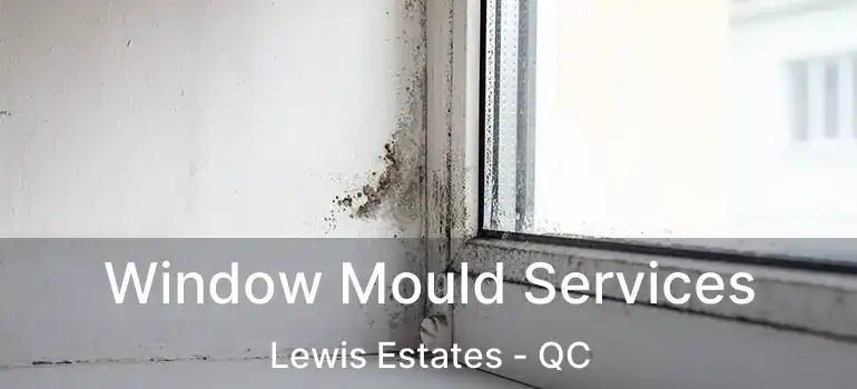  Window Mould Services Lewis Estates - QC