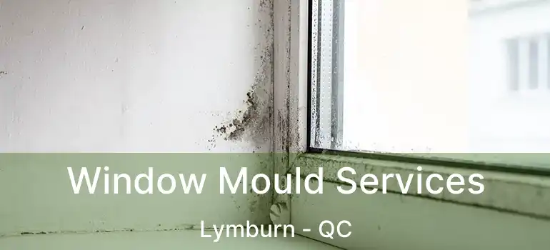  Window Mould Services Lymburn - QC