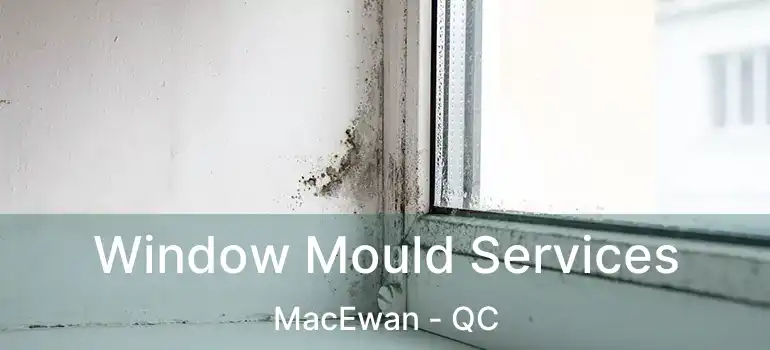  Window Mould Services MacEwan - QC
