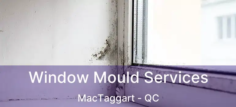 Window Mould Services MacTaggart - QC