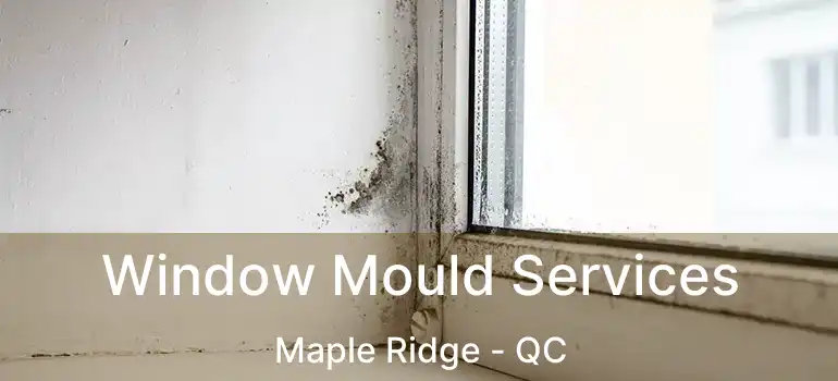  Window Mould Services Maple Ridge - QC