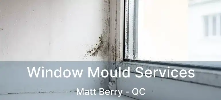  Window Mould Services Matt Berry - QC