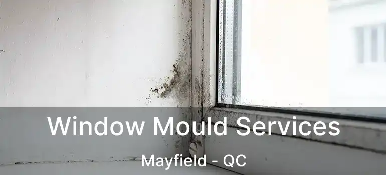  Window Mould Services Mayfield - QC