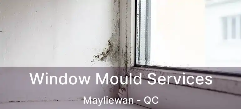  Window Mould Services Mayliewan - QC