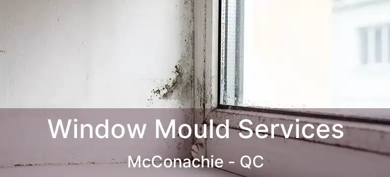  Window Mould Services McConachie - QC
