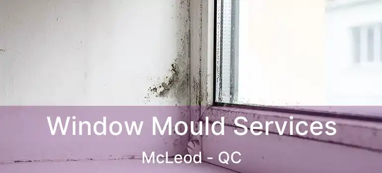  Window Mould Services McLeod - QC