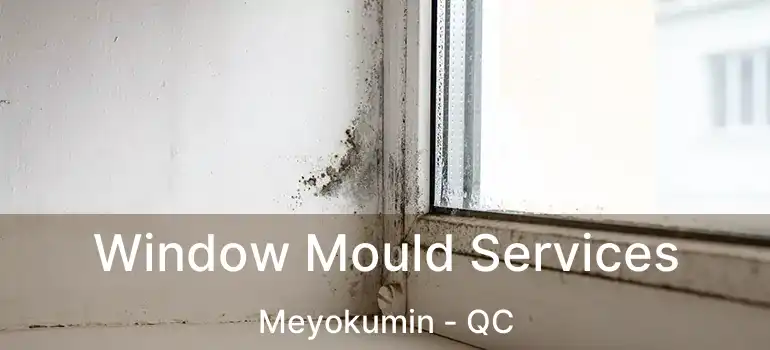  Window Mould Services Meyokumin - QC