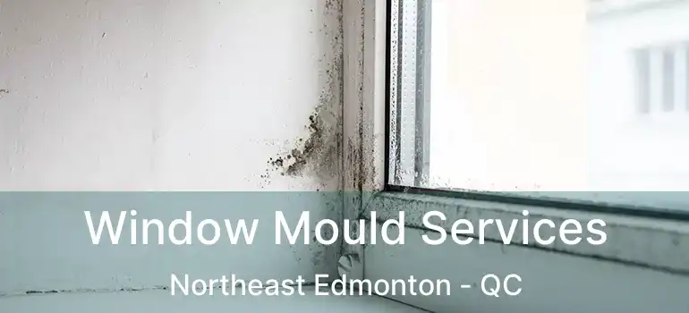 Window Mould Services Northeast Edmonton - QC