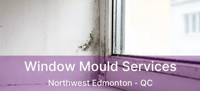  Window Mould Services Northwest Edmonton - QC