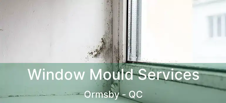  Window Mould Services Ormsby - QC