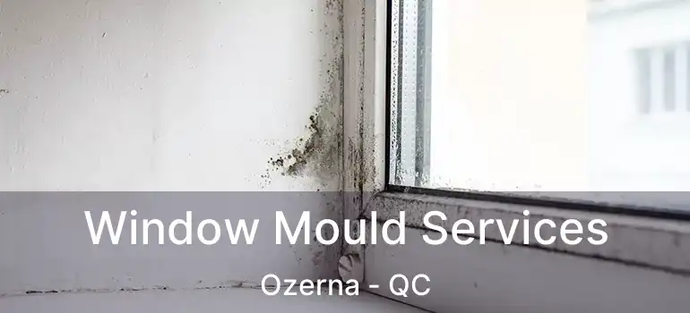  Window Mould Services Ozerna - QC