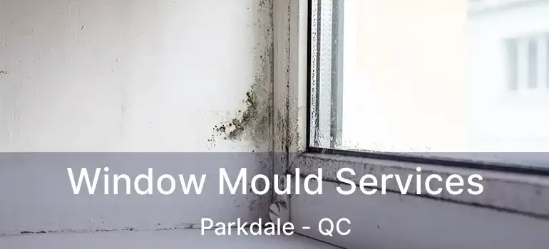  Window Mould Services Parkdale - QC