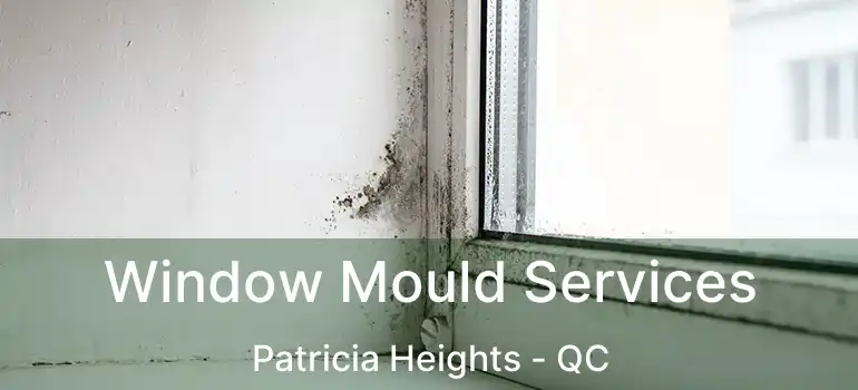  Window Mould Services Patricia Heights - QC