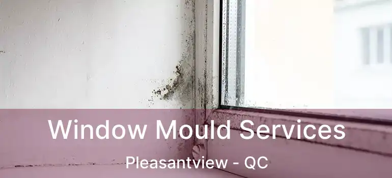  Window Mould Services Pleasantview - QC