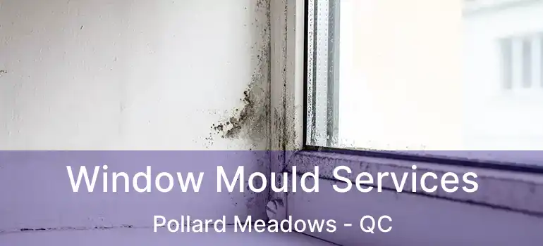  Window Mould Services Pollard Meadows - QC