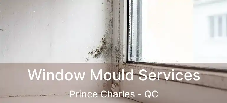  Window Mould Services Prince Charles - QC