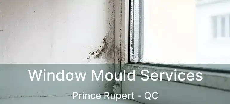  Window Mould Services Prince Rupert - QC