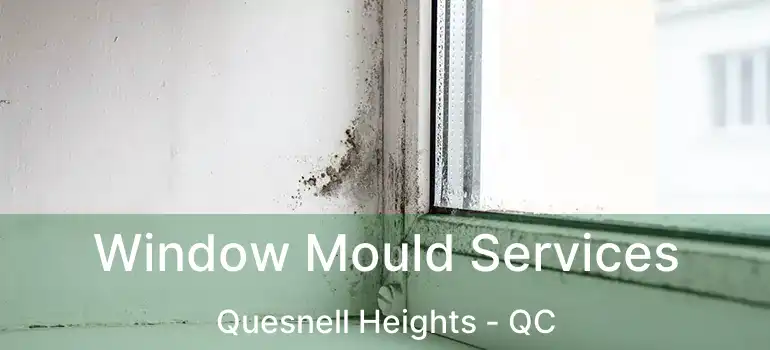  Window Mould Services Quesnell Heights - QC