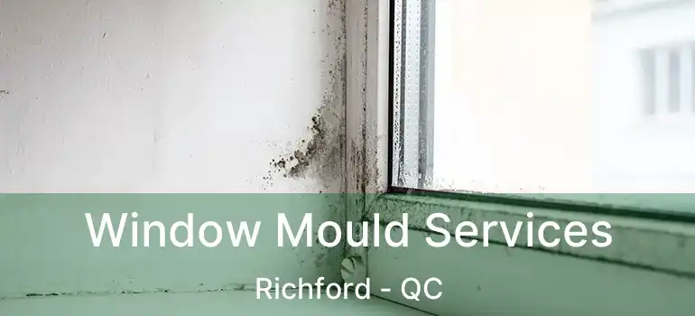  Window Mould Services Richford - QC