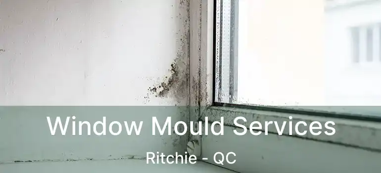 Window Mould Services Ritchie - QC