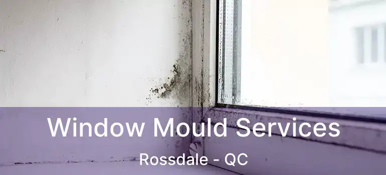  Window Mould Services Rossdale - QC