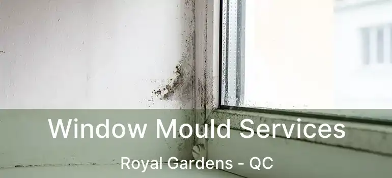  Window Mould Services Royal Gardens - QC