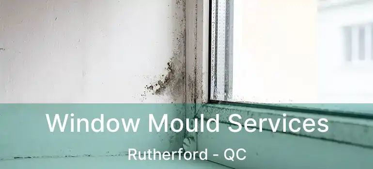  Window Mould Services Rutherford - QC