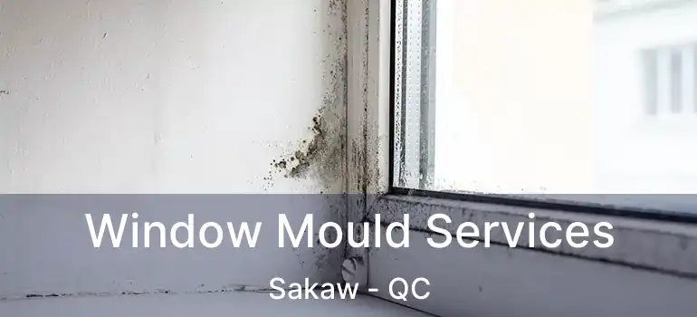  Window Mould Services Sakaw - QC