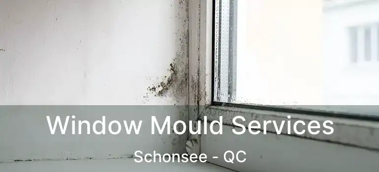  Window Mould Services Schonsee - QC