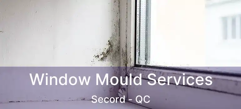 Window Mould Services Secord - QC