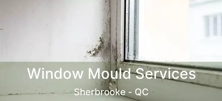  Window Mould Services Sherbrooke - QC