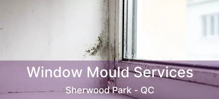  Window Mould Services Sherwood Park - QC