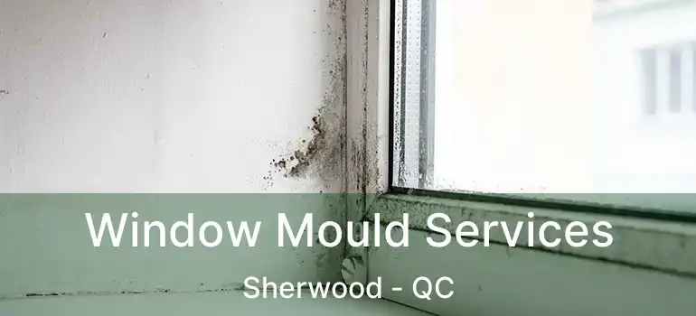  Window Mould Services Sherwood - QC