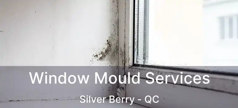  Window Mould Services Silver Berry - QC
